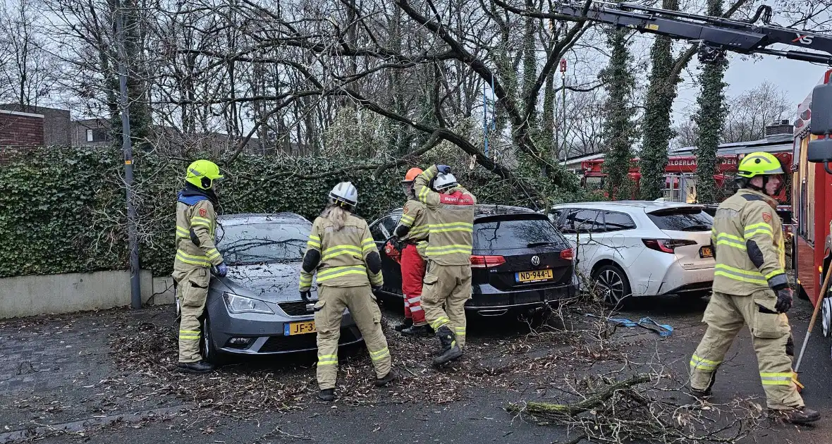 Meerdere auto's beschadigd door omgevallen boom - Foto 11