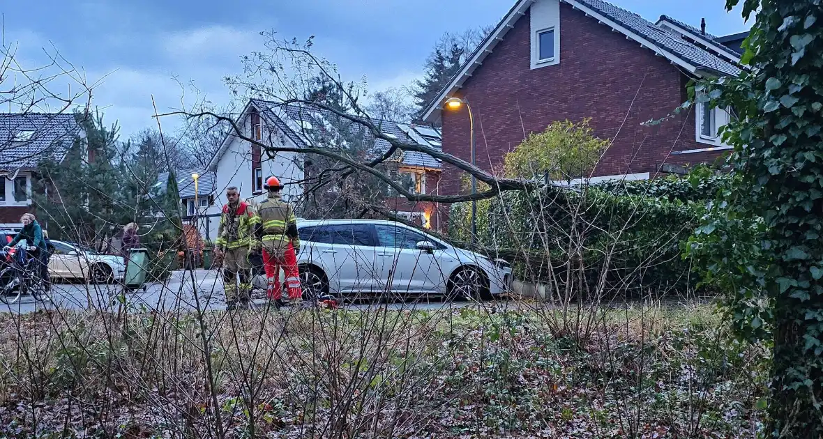 Meerdere auto's beschadigd door omgevallen boom - Foto 2