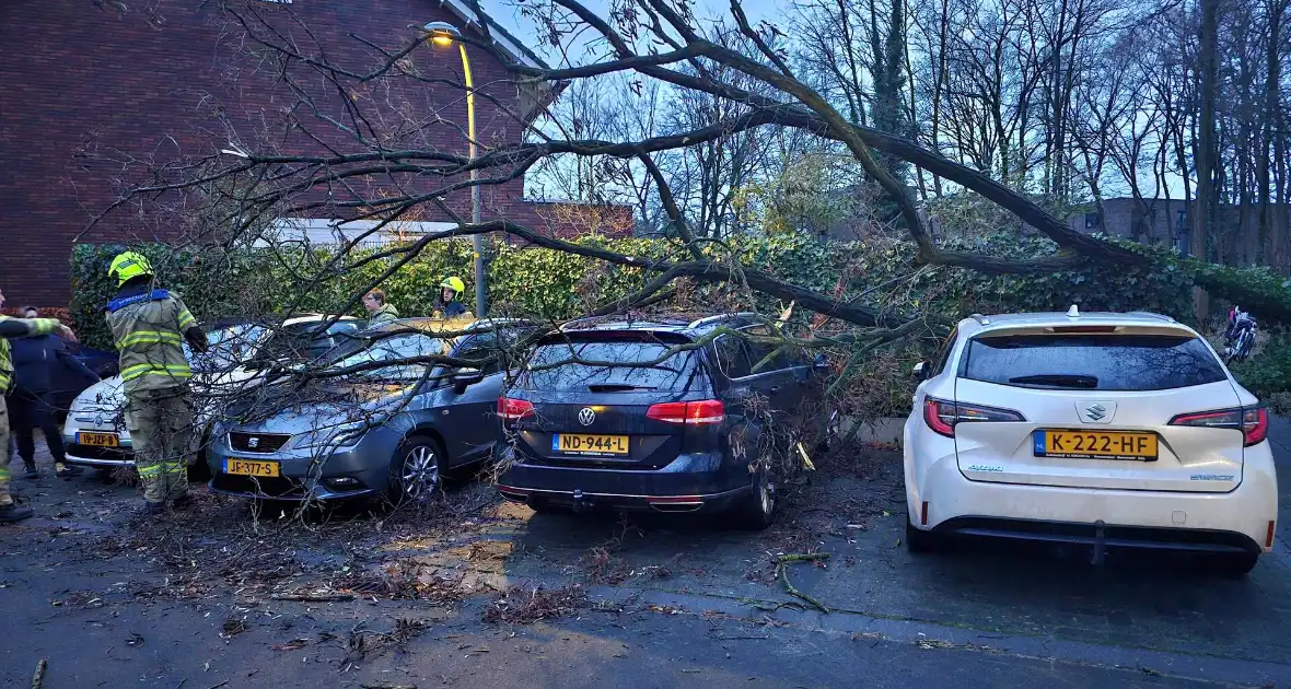 Meerdere auto's beschadigd door omgevallen boom - Foto 6