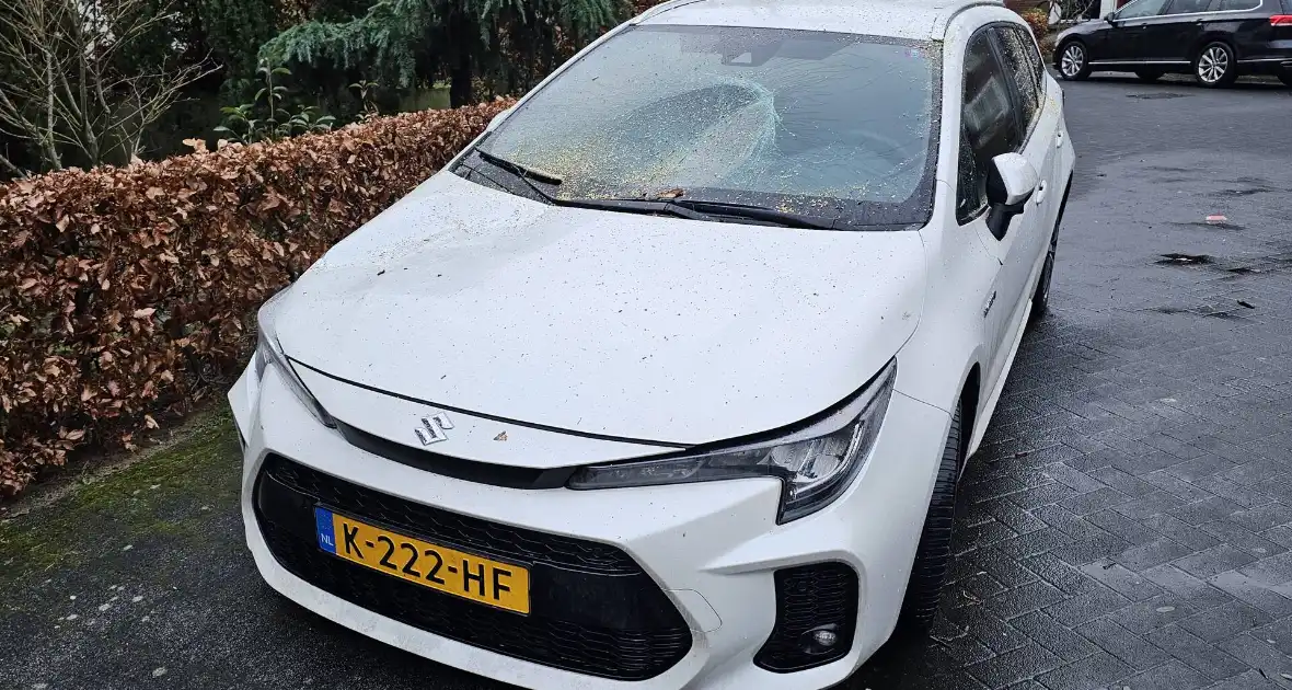 Meerdere auto's beschadigd door omgevallen boom - Foto 9