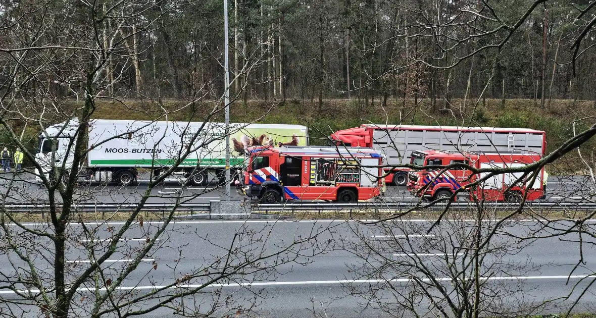 Twee vrachtwagens betrokken bij ernstig ongeval - Foto 4