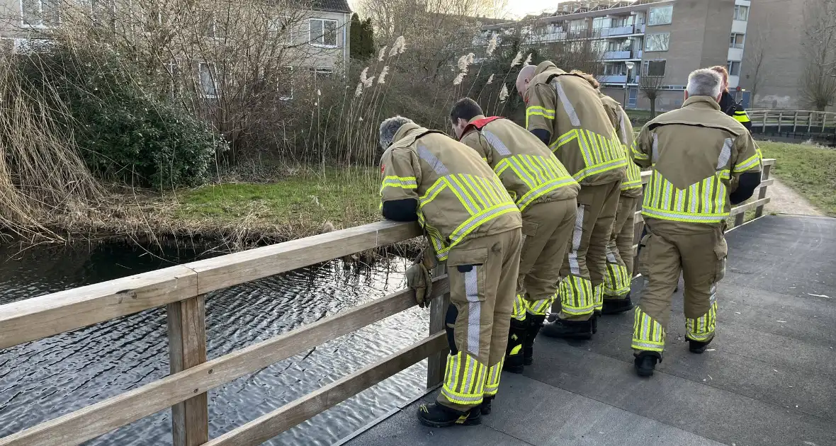 Kinderen vinden twee kluizen in sloot - Foto 1