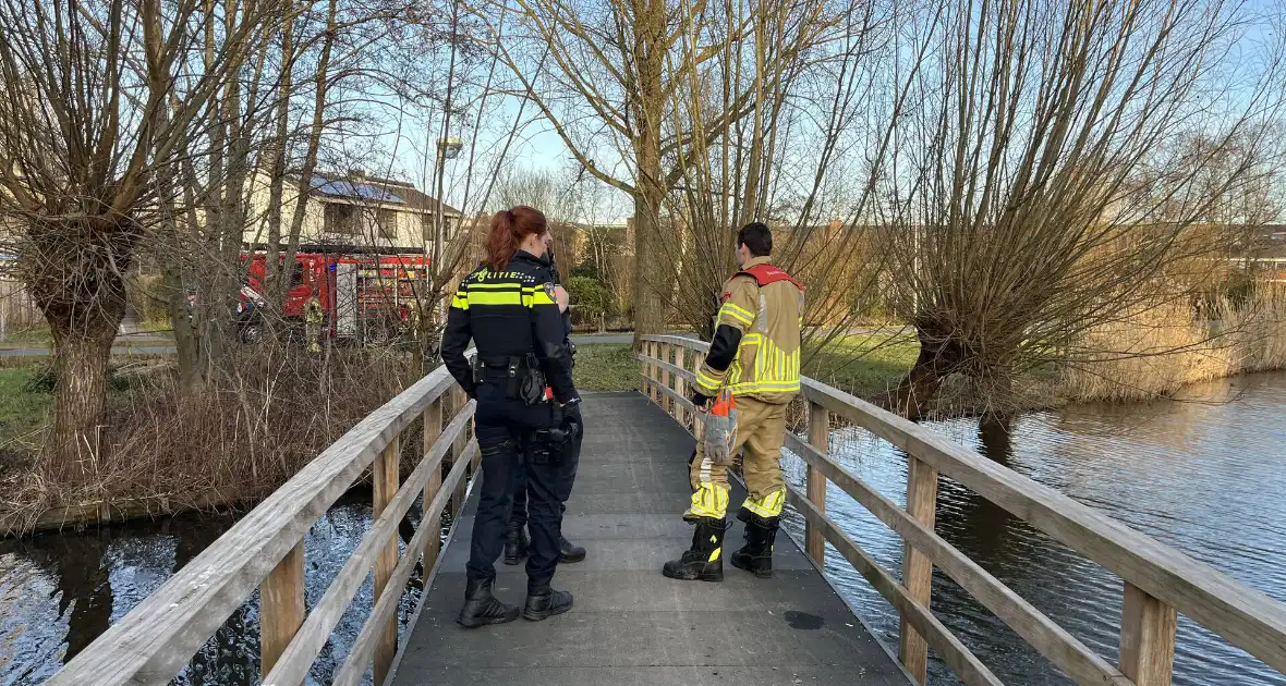 Kinderen vinden twee kluizen in sloot - Foto 2