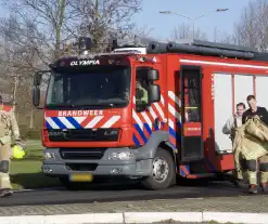 Brandweer haalt gewonde zwaan uit het water