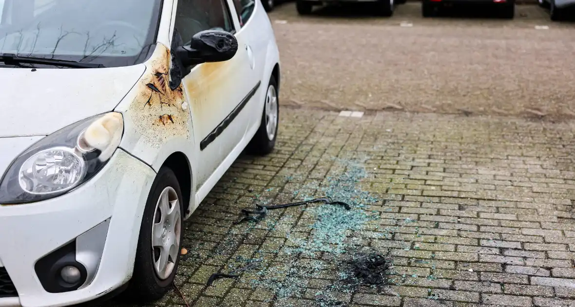 Geparkeerde auto loopt flinke schade door brand - Foto 3