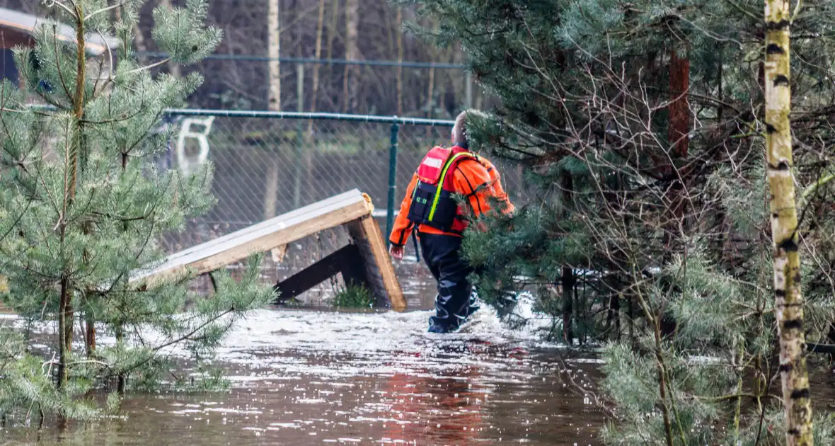 Dieren in de problemen door hoog water - Foto 7