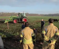 Brandweer ingezet voor een paard in de sloot