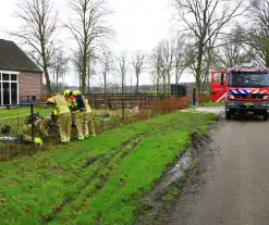 Gasleiding geraakt tijdens planten van bomen