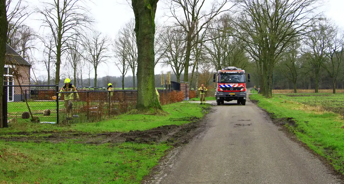 Gasleiding geraakt tijdens planten van bomen - Foto 11