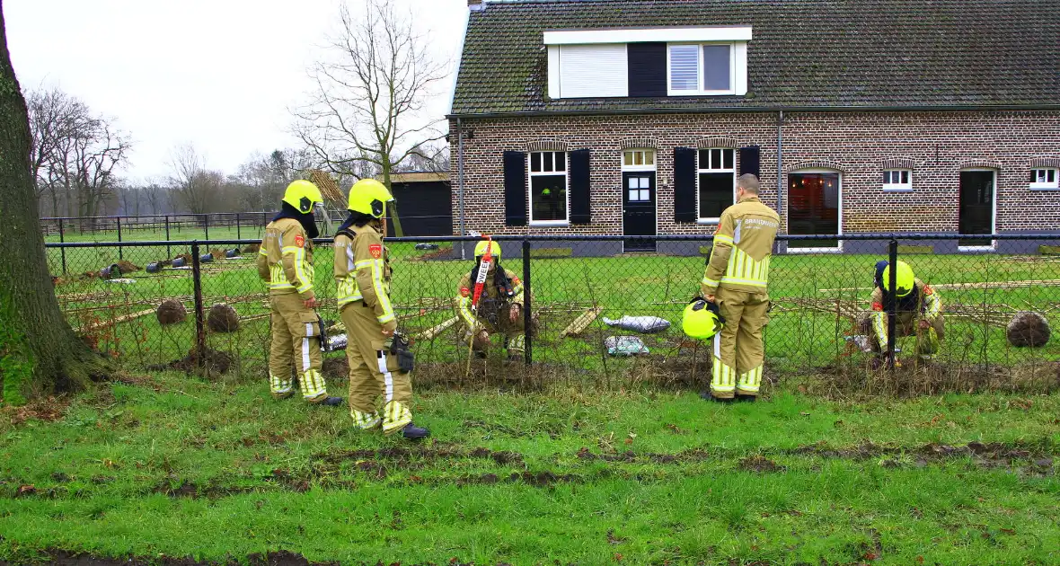 Gasleiding geraakt tijdens planten van bomen - Foto 3