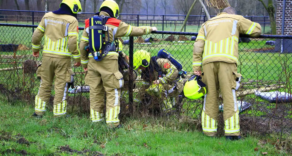 Gasleiding geraakt tijdens planten van bomen - Foto 9