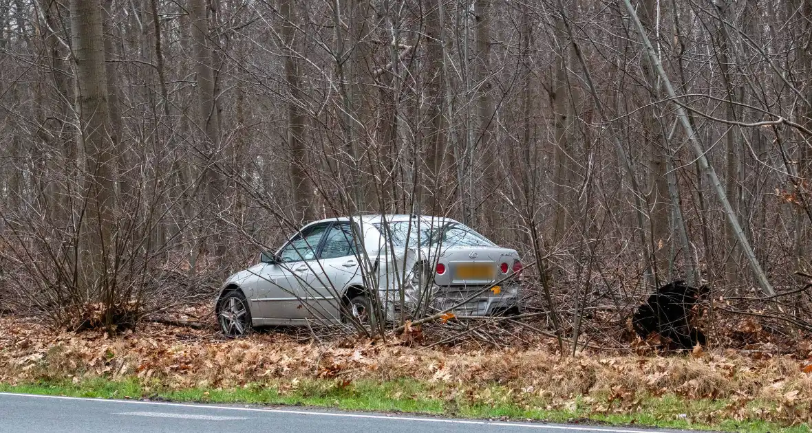 Auto raakt van weg en belandt in de bosschages - Foto 2