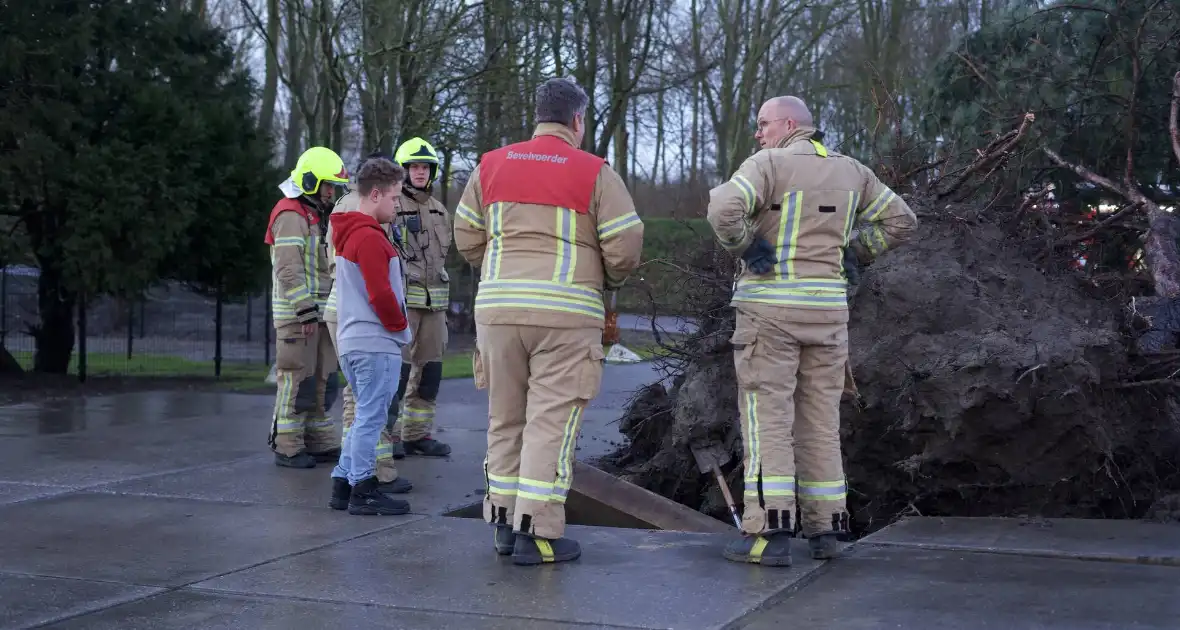 Omgewaaide boom beschadigd gasleiding