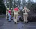 Omgewaaide boom beschadigd gasleiding