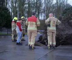 Omgewaaide boom beschadigd gasleiding