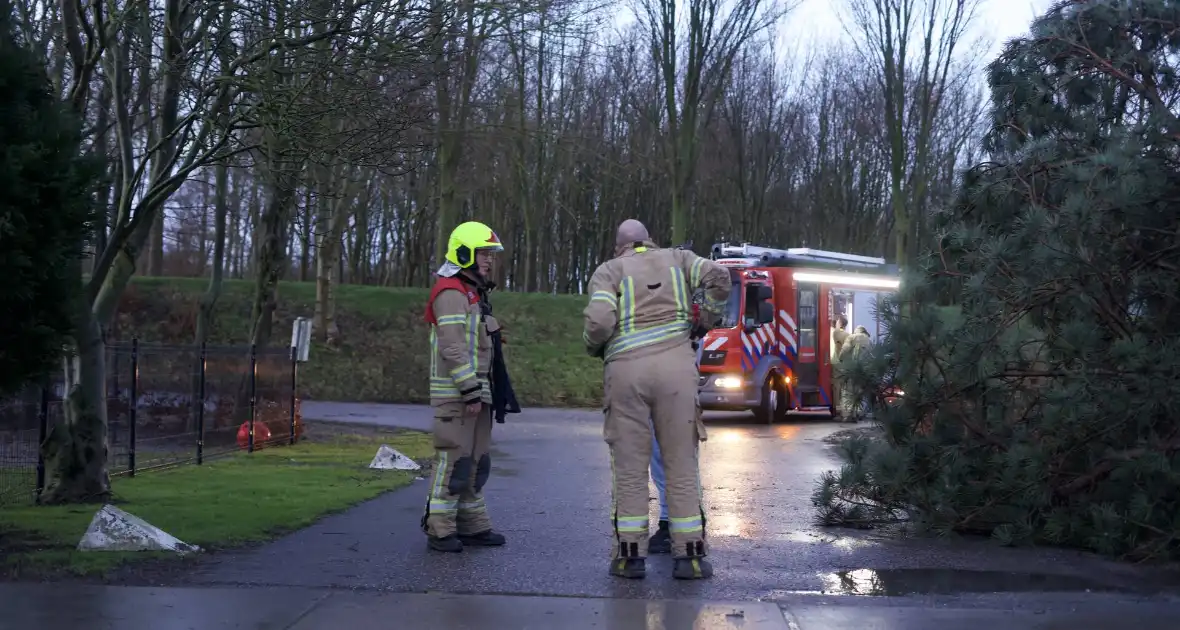 Omgewaaide boom beschadigd gasleiding - Foto 1