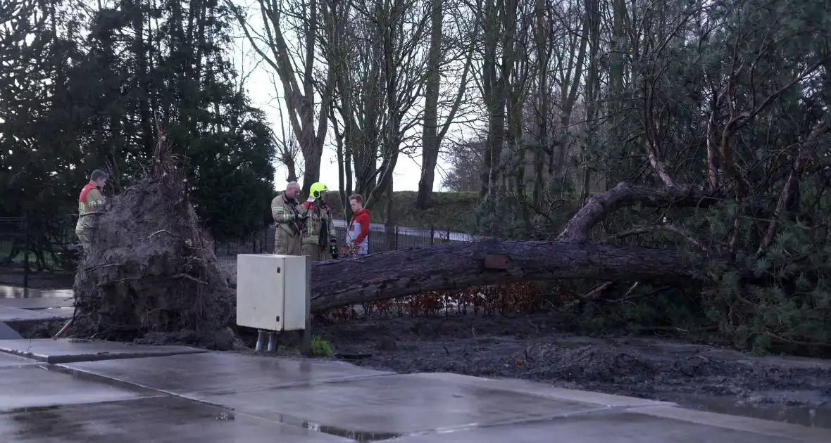 Omgewaaide boom beschadigd gasleiding - Foto 2