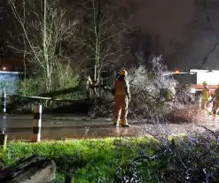 Lantaarnpaal omver door vallende boom