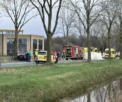 Auto vliegt in brand na frontale botsing tegen boom, bestuurder overleden