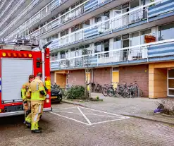 Flatwoning vol rook door brand