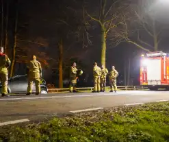 Auto belandt naast weg door kat