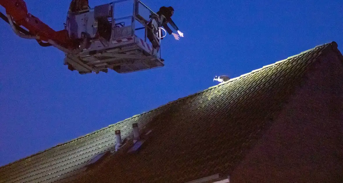 Brandweer helpt bewoner met kat van dak halen - Foto 2