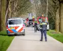 Brand in schoorsteen verwoest rietendak