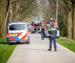 Brand in schoorsteen verwoest rietendak