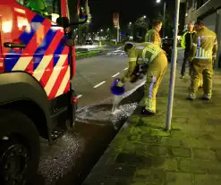 Flinke wateroverlast door gesprongen leiding