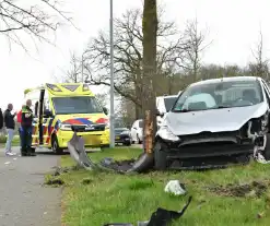 Flinke schade nadat auto botst tegen boom klapt