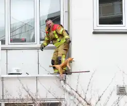 Poes springt van dak tijdens reddingsactie brandweer