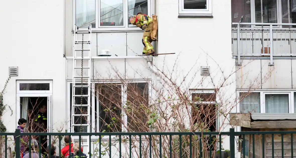 Poes springt van dak tijdens reddingsactie brandweer - Foto 2