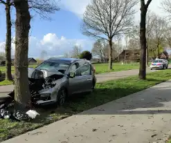 Flinke schade bij eenzijdig ongeval tegen boom