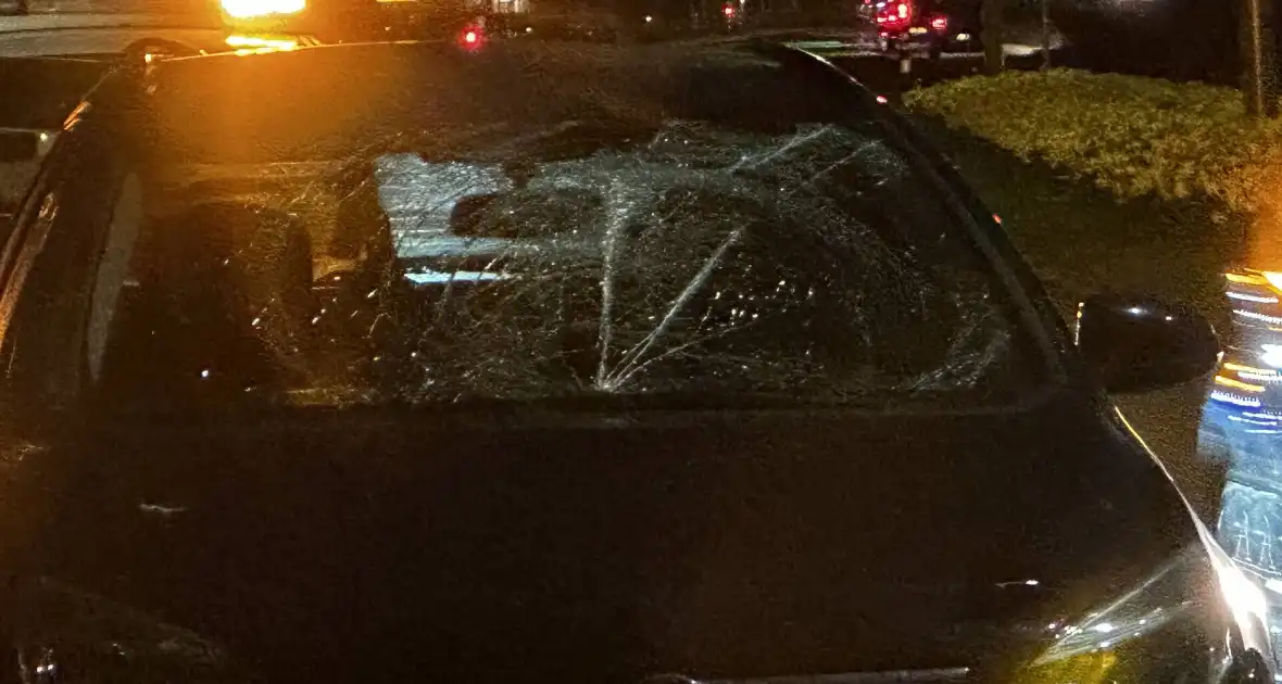 Auto fiks beschadigd na aanrijding met Fatbike - Foto 1