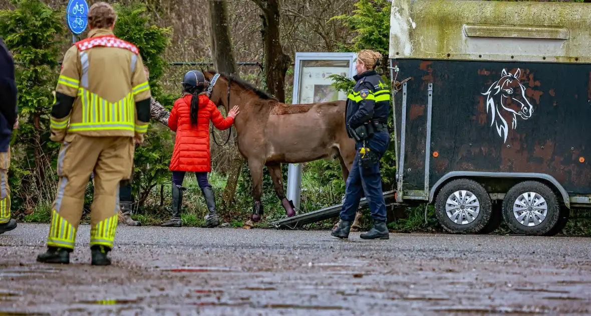 Gestresst paard wil trailer niet in - Foto 1