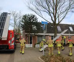 Brandweer ingezet voor vastzittende vogel