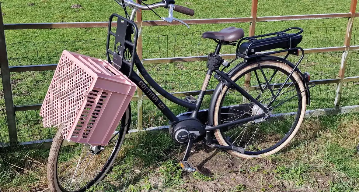 Bestuurder van bestelbus knalde op een auto met pech - Foto 2