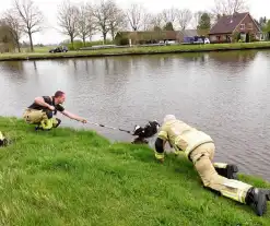 Brandweer 'vist' Pink uit water