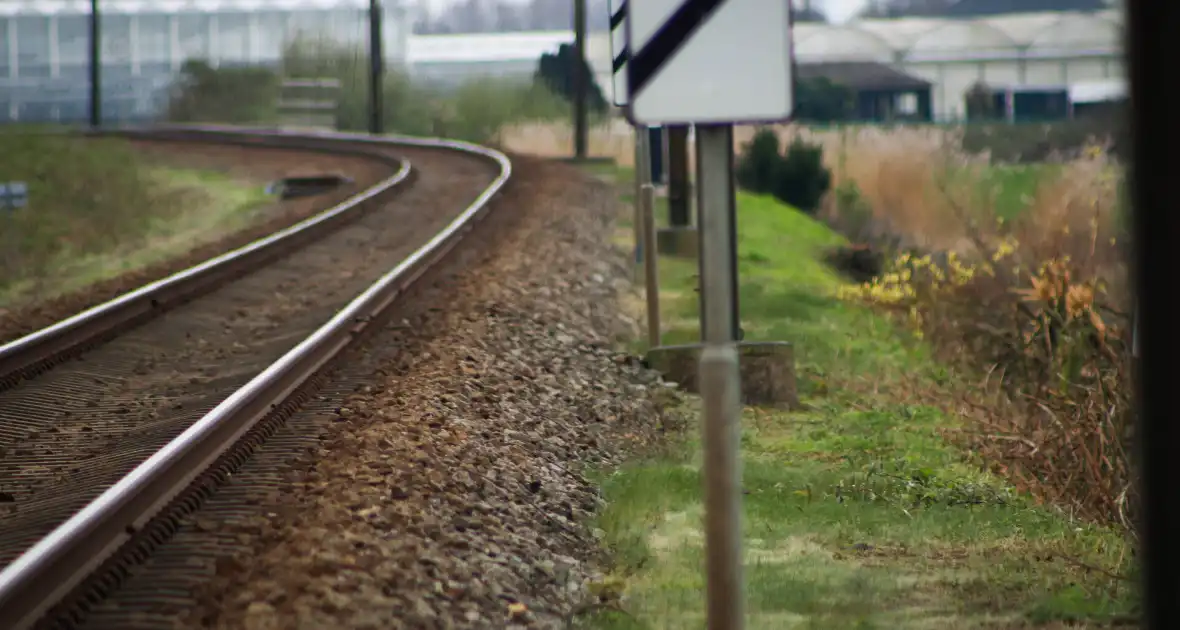 Dode zwaan zorgt voor hinder van treinverkeer - Foto 10