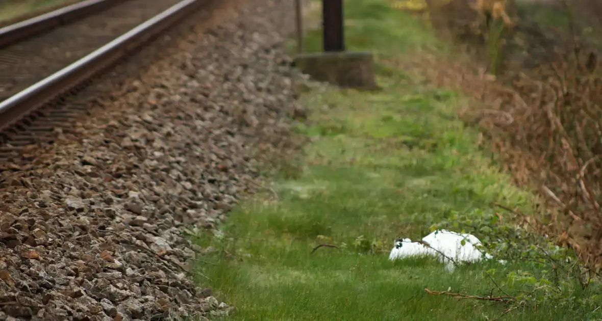 Dode zwaan zorgt voor hinder van treinverkeer - Foto 5