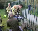 Brandweer bevrijdt vastzittend hert