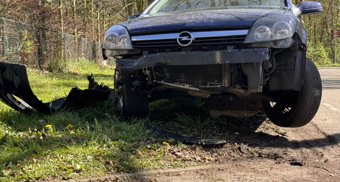 Auto loopt fikse schade op nadat deze op varkensrug rijdt - Foto 5