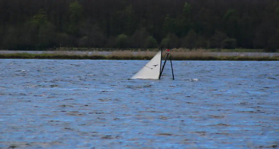 Zeilboot gezonken op Veerse meer - Foto 3