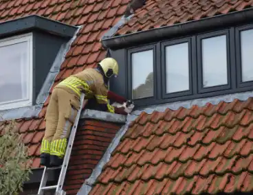 Brandweer redt kat Messi van dak