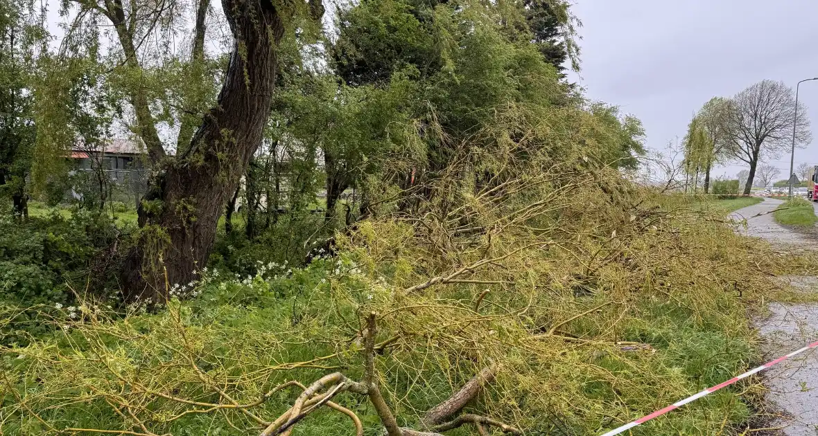 Brandweer assisteert bij stormschade aan boom - Foto 3