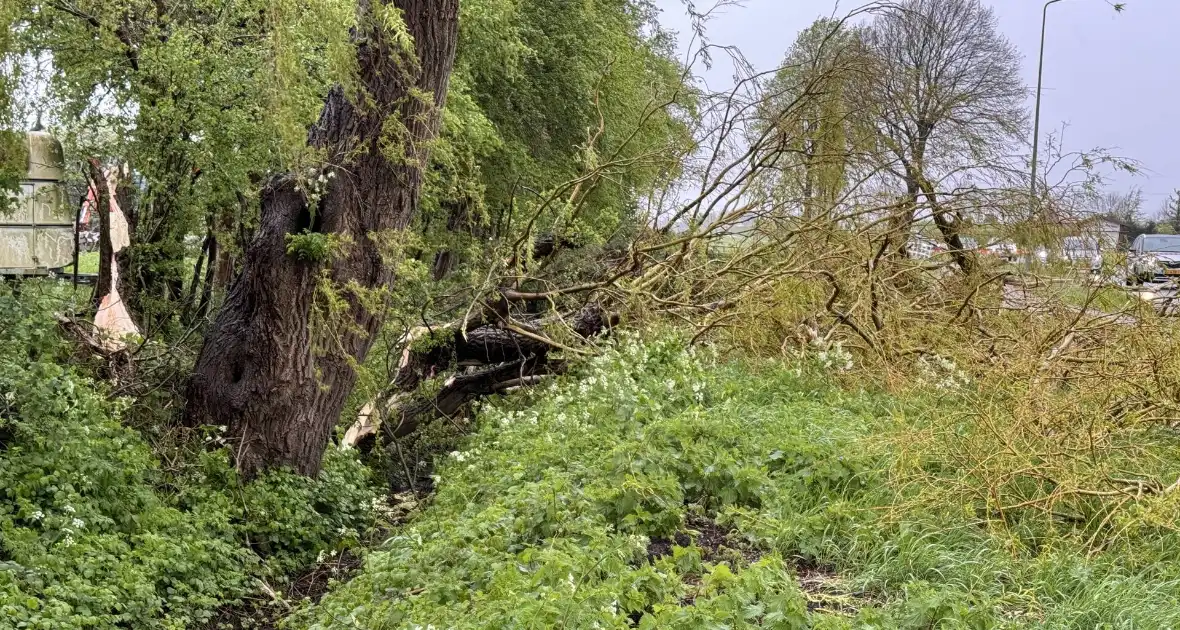 Brandweer assisteert bij stormschade aan boom - Foto 5