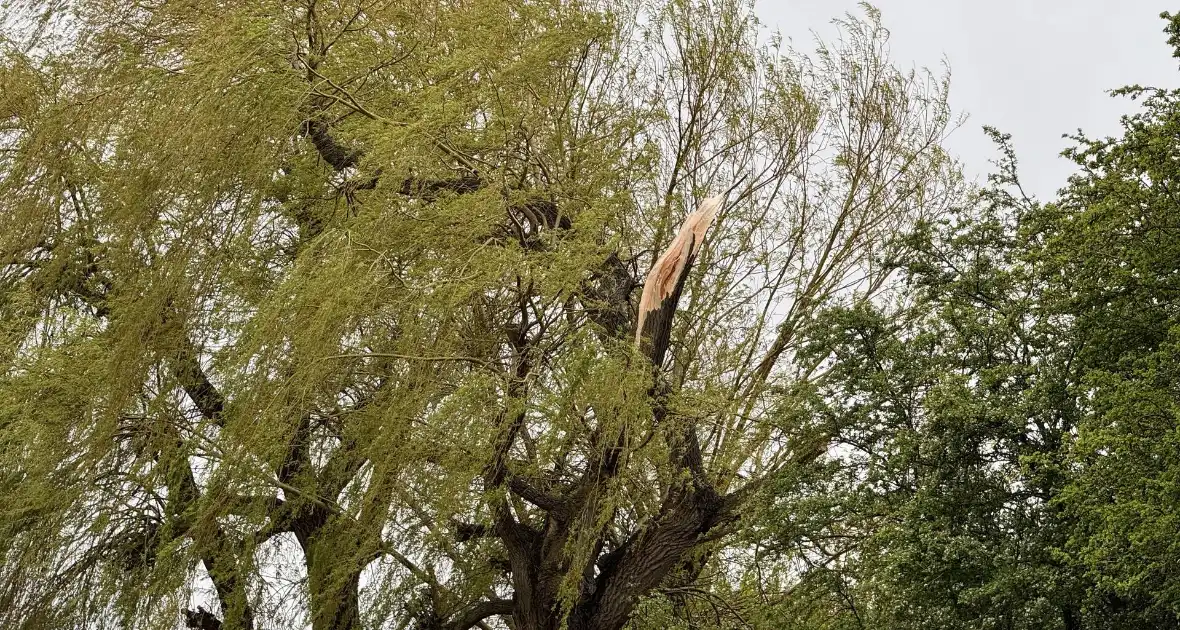 Brandweer assisteert bij stormschade aan boom - Foto 6