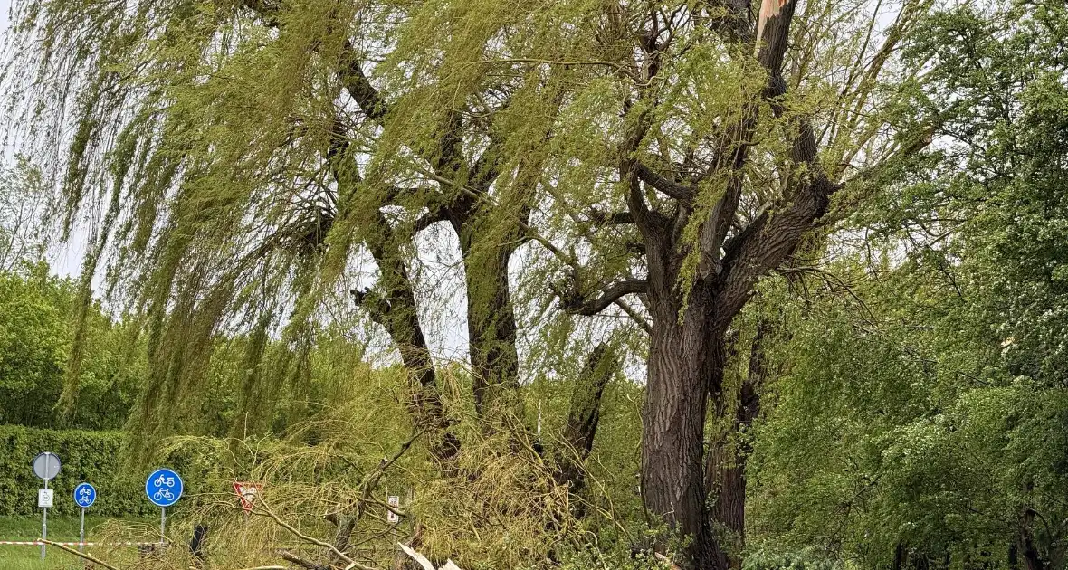 Brandweer assisteert bij stormschade aan boom - Foto 7