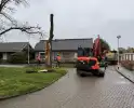 Boom breekt af na rukwinden