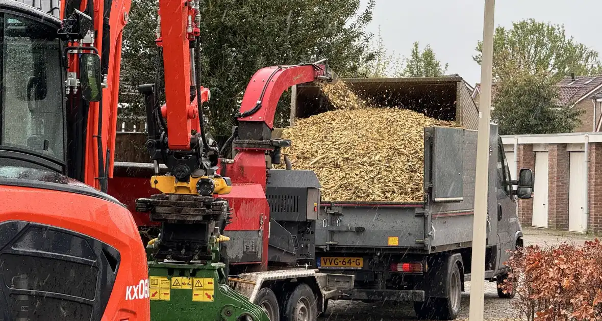 Boom breekt af na rukwinden - Foto 1